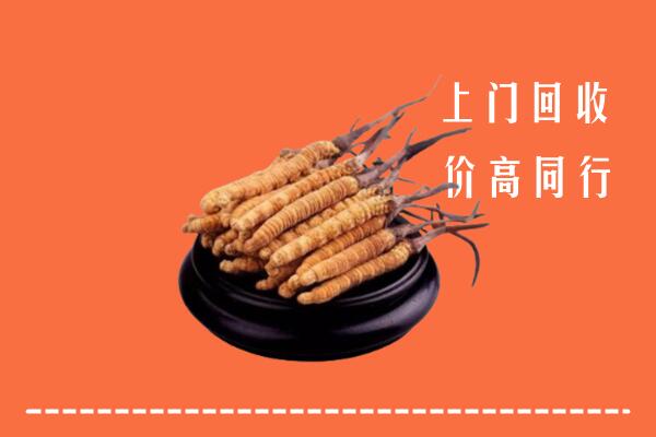 高价求购：襄阳市老河口市回收散虫草