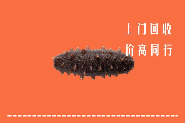 高价求购：襄阳市老河口市回收海参