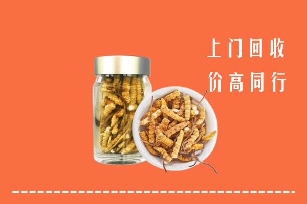 襄阳市老河口市高价回收冬虫夏草